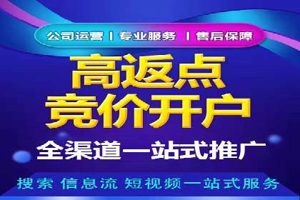行业新秀的关键词竞价排名之路：快速崛起的案例